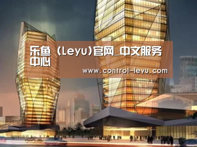案例展示三