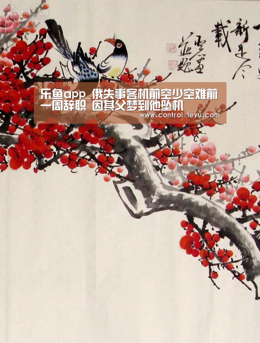 乐鱼app_俄失事客机前空少空难前一周辞职 因其父梦到他坠机(图2) Leyu体育官方平台
